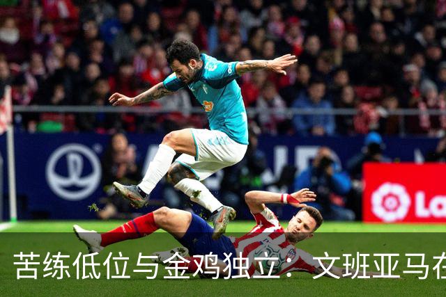 苦练低位与金鸡独立：文班亚马在法国特训中寻求进攻进化